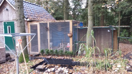 de voliere (links de 3x3x2m) rechts de stalen van 2x1x1,80.