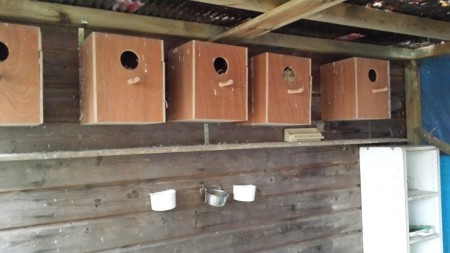 de Broedblokken met daar onder het voer.