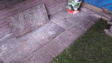 eerste gedeeldte is betegeld, daar valt het voer op en is makkelijk op te ruimen rest ligt vol met gras.